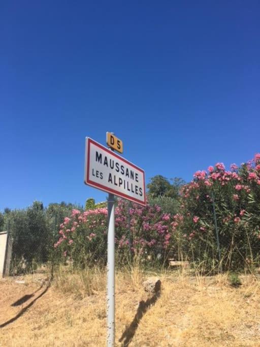 Mazet Provencal Au Coeur Des Alpilles La Reverie Maussane-les-Alpilles Exterior foto