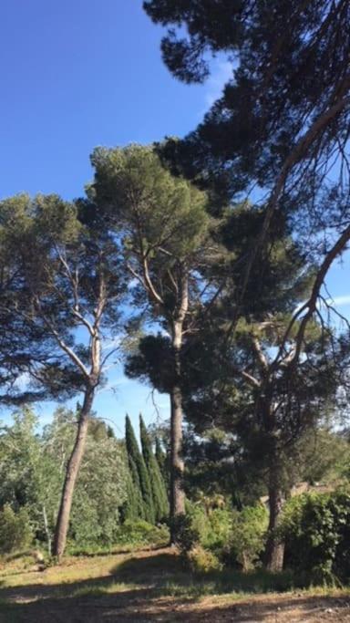 Mazet Provencal Au Coeur Des Alpilles La Reverie Maussane-les-Alpilles Exterior foto